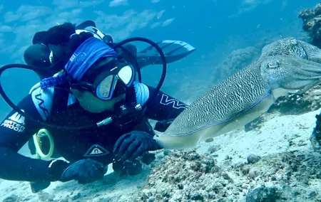 From Dubai : Discover Scuba Dive in Khorfakkan ( No Hidden Fee)