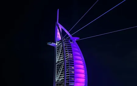 Dubai Nights and lights: Evening Tour with Fountain Show