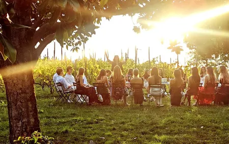 Small Group Minardi Winery Tour