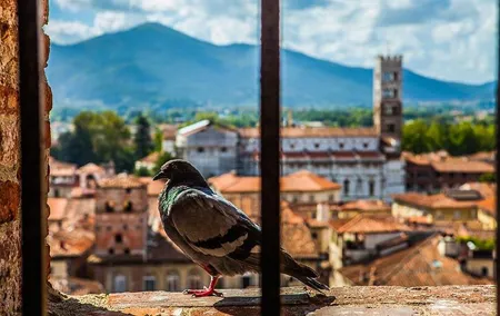 Lucca and Pisa Day Tour from Rome