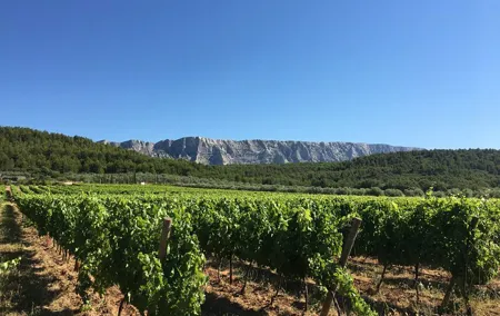 Short Day Tour around Aix en Provence and Wine Tasting