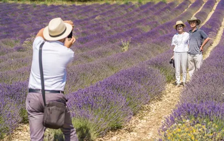 Small Group Marseille Shore Excursion: Lavender Tour