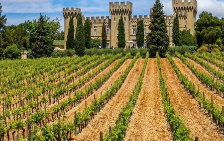 Châteauneuf du Pape Wine Private Tasting Tour From Marseille