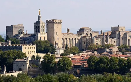 Full private day Avignon Chateuneuf du pape wine tasting