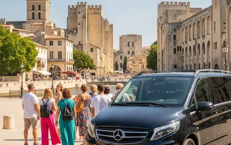 Private tour in Avignon and Pont du Gard