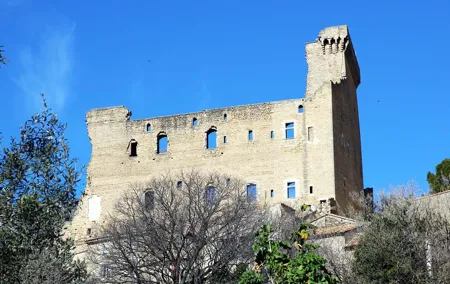 Avignon's history, local culture & the wines of Châteauneuf du Pape private tour