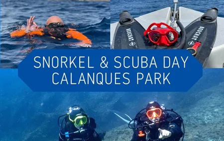 Full-Day Snorkeling and Guided Dive in the Calanques National Park from Marseille