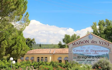 Côtes de Provence Wine Day Tour : 7 hours