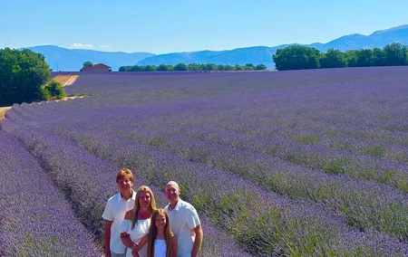Lavender in Bloom : Unforgettable Provençal Stroll