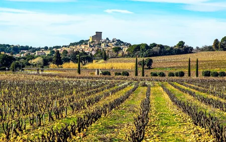Two intensive days discover exceptional wines of the Rhône valley