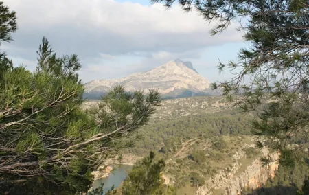 Cézanne Pathway : Wine and Art in Majestic Aix en Provence