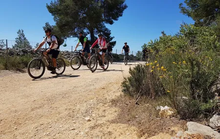 Private ebike tour to Calanques or city