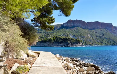 Highlights of Provence : food, wine and seaside in Cassis and Aix
