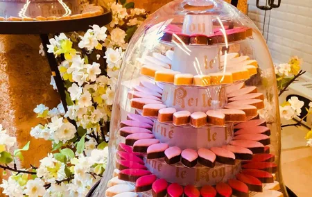 Aix en Provence Wine tour "Cézanne and the winegrowers"