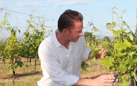 Taste of Provence - Wine and Scenery around Aix-en-Provence