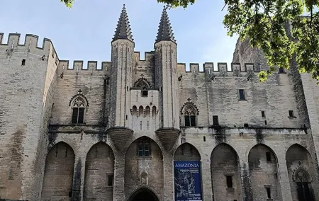Private Tour Roman Aqueduc Pont du Gard, Avignon the Pope Palace