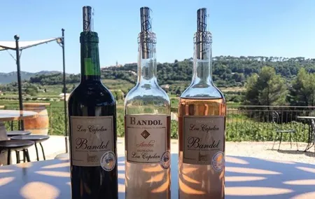 Bandol/Cassis Wine Day Tour : 7 hours