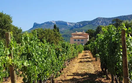 Two intensive days discovering the exceptional wines of Provence