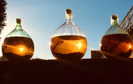 Cassis, Bandol and Le Castellet Wine tour