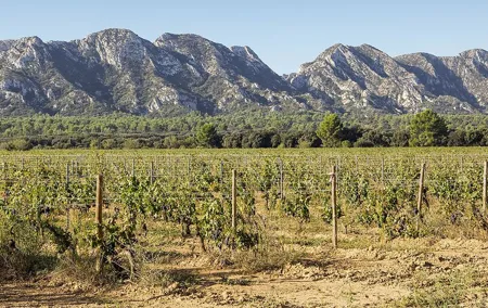 Les Baux de Provence : Wine day Tour : 7 hours