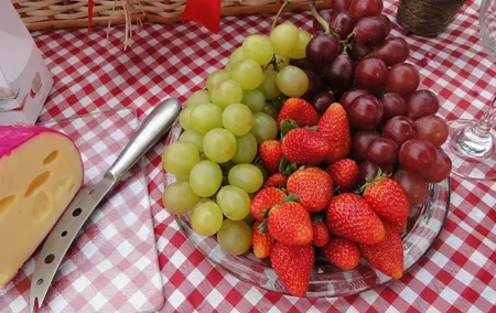 Food Tour Excursion in Provence !