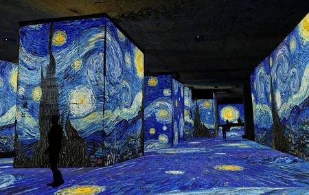 Private Tour from Marseille: Les Baux, Van Gogh & Saint-Rémy