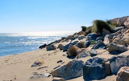 Historic Arles & the beaches and Pink Flamingoes of the Camargue