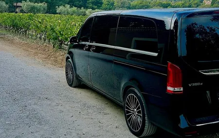 Private tour Marseille EN van