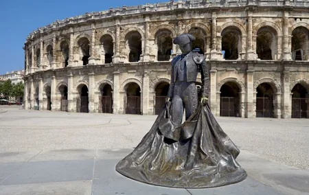 Arles and Camargue Full Day Private Tour from Marseille or Aix