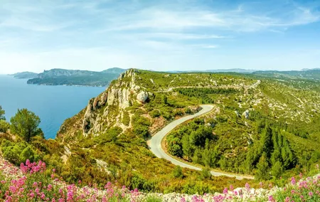 Cassis & Cap Canaille Private Coastal Tour from Marseille