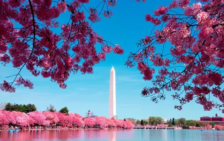 DC in a Day Monuments Tour with 10 Stops, Optional Entry Tickets