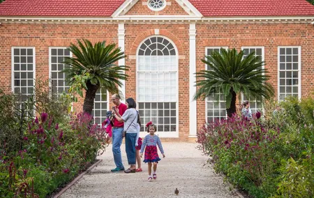 Mount Vernon Guided Estate Tour plus Old Town Alexandria from DC