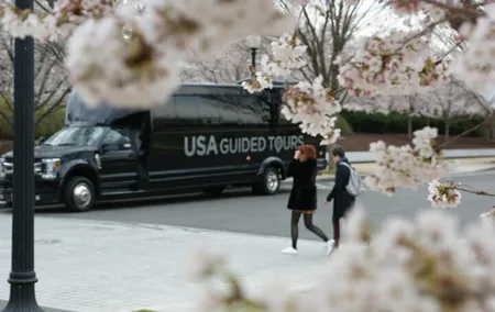 The DC Cherry Blossom Bus Tour with Tidal Basin Guided Walk