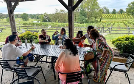 Luxe Day Trip: 3 VA Wineries & Optional Tasting-Inclusive Upgrade