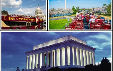 DC: Hop-on Hop-off Bus, Arlington Walking Tour, and Night Tour
