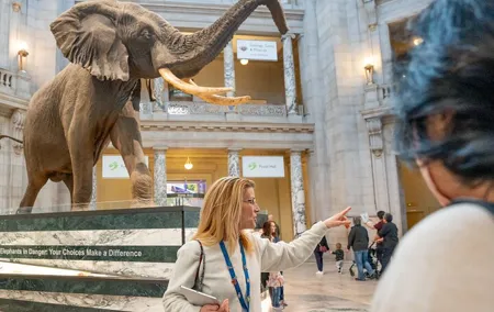 Smithsonian Natural History Museum Semi-Private Guided Tour