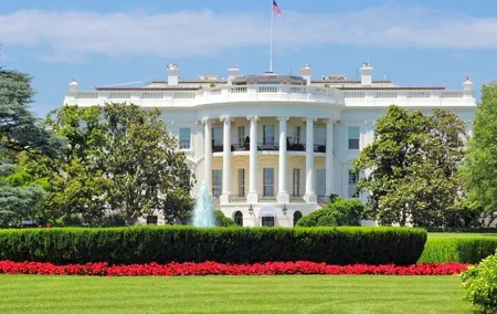 Washington : Private Custom Walking Tour With A Guide (Private)