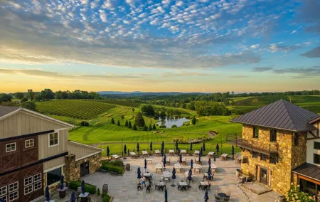 Luxury Wine Tour in Washington DC to Loudoun County Vineyards