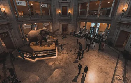 Two Smithsonian Museums Private Tour: American & Natural History