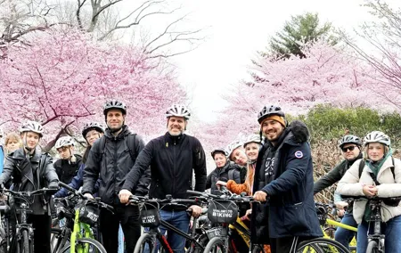 Washington DC Cherry Blossoms By Bike Tour