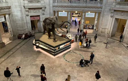 Guided Tour of Smithsonian Museum of Natural History