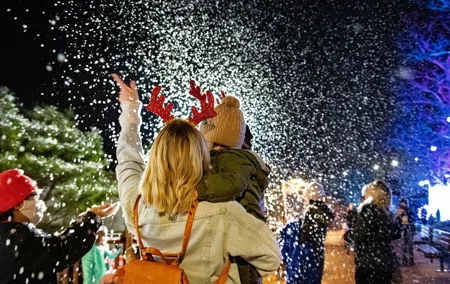 Winter City Lights Experience Washington DC