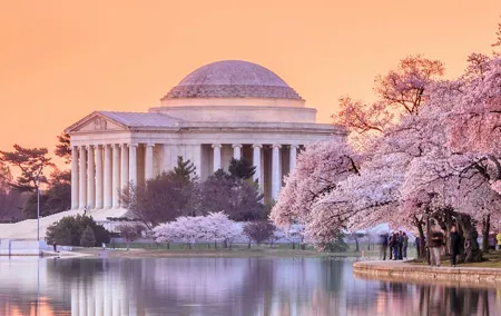 DC City Tour + Washington Monument, Air & Space, African American