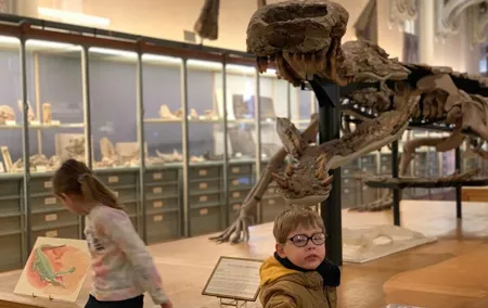 Washington DC Museum of Natural History Private Family tour
