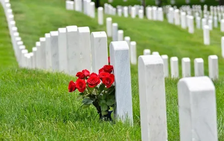 Private Tour of Washington, DC by Van to Honor Our Heroes