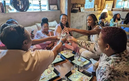 Private Washington DC Virginia Winery Wine Tasting Tour -Spirited