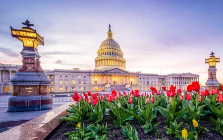 Iconic Film and Movie Locations Half Day Tour in Washington D.C.