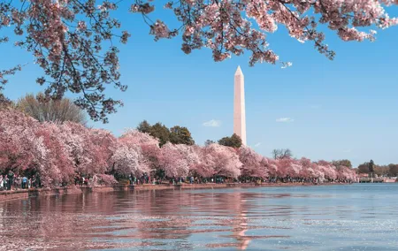Top Tidal Basin Explorer of Thomas Jefferson FDR & MLK Memorials