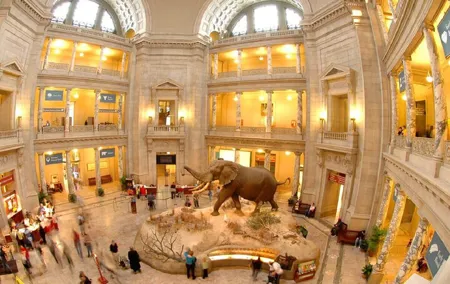 Shared Smithsonian Museum Tour Experience