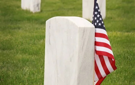 Patriot Tour of Washington DC - Celebrate America (Private)